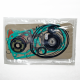 Gasket Set for Provision 8 Crankcase (Rotax 582 Mod. 99)