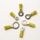 Ring Tongues (Yellow) 12-10